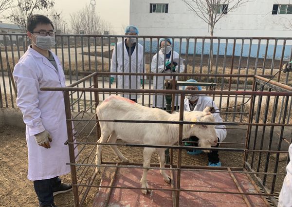 厕所偷拍
研究生称重后备种公羊_副本.jpg