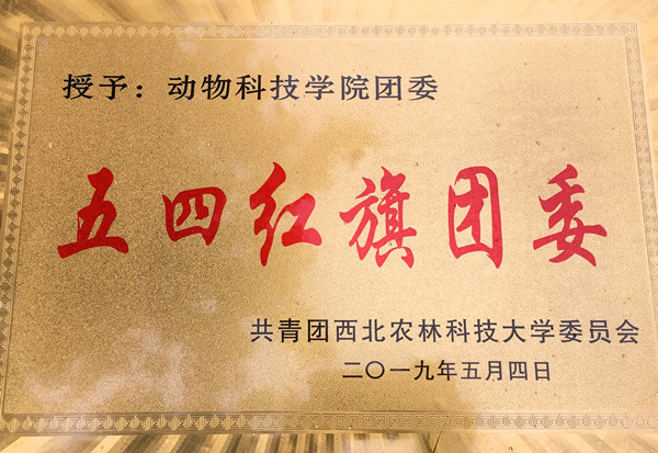 厕所偷拍
五四_副本.jpg