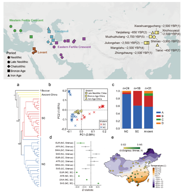 【科研新进展】（70）动科厕所偷拍
利用古基因组揭示中国山羊演化历程 .png
