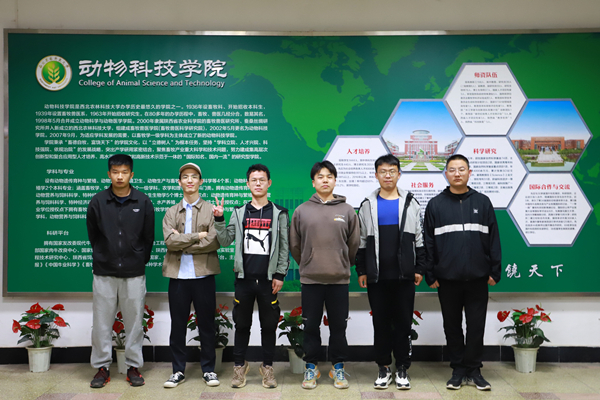 16e53f6bf5e54a138061b8183cfbc6d4.jpg