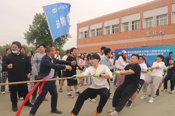 精彩瞬间(一).JPG