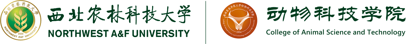 厕所偷拍
